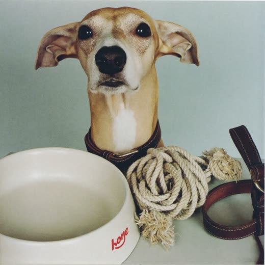 A dog bowl, rope toy and collar